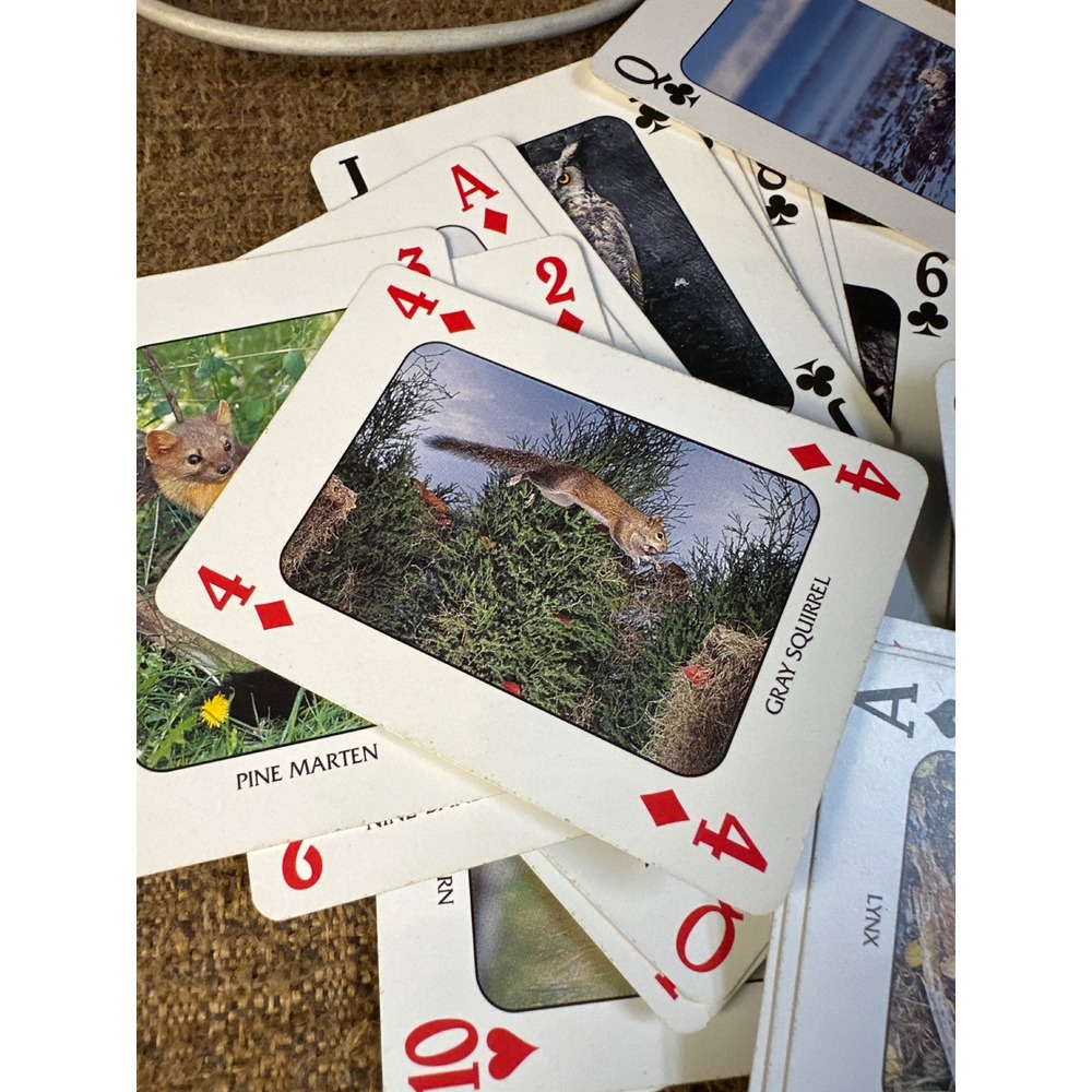 Discover American Wildlife Playing Cards 52 Different Animal Images Poker Deck - Picture 5 of 6